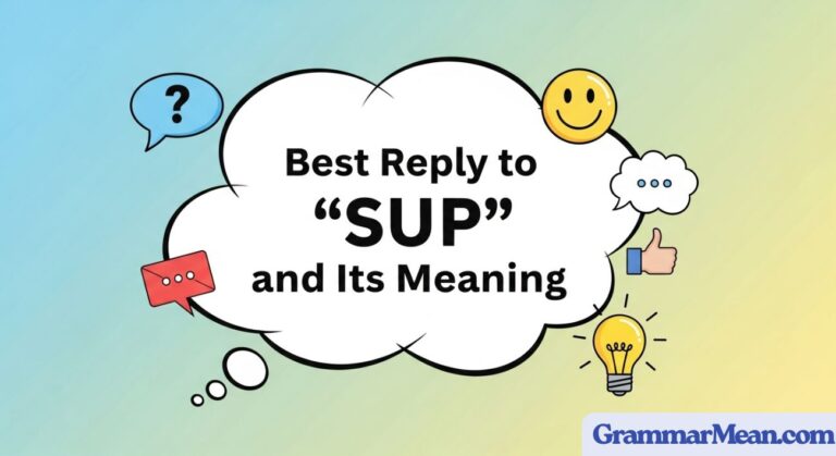 Best Reply to SUP and Its Meaning