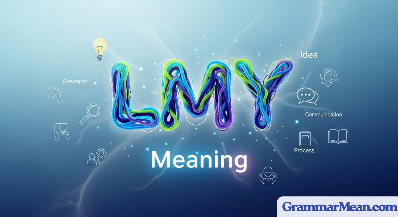 LMY Meaning