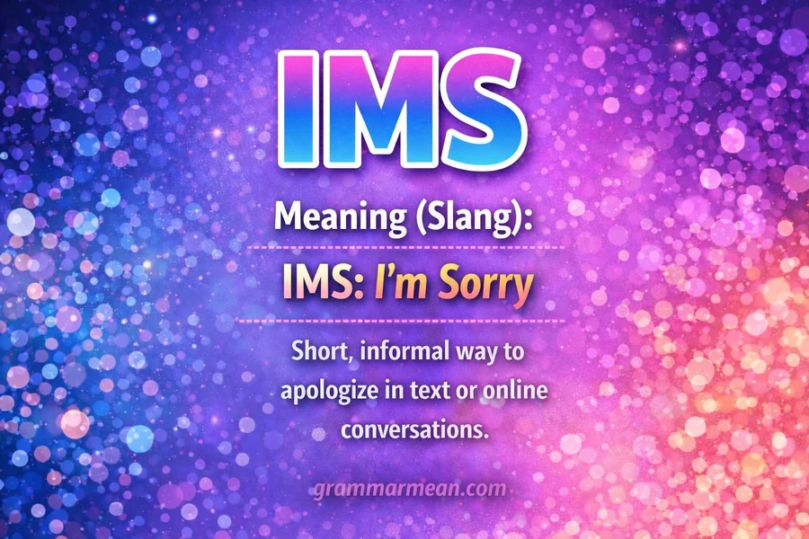 IMS Meaning Slang
