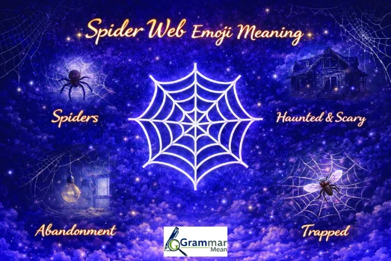 spider web emoji meaning