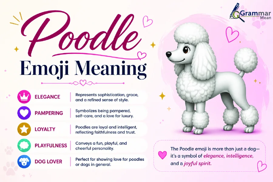 poodle emoji meanings